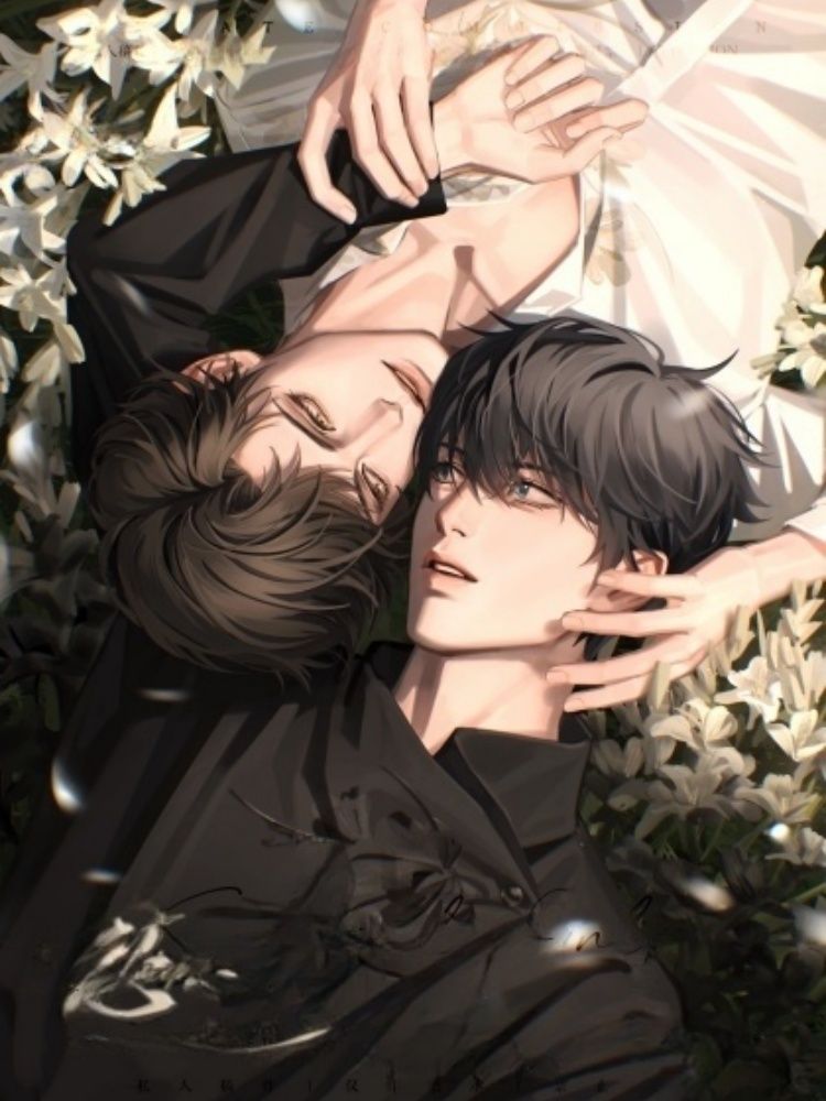 听剧值不值得？一篇看懂全功能